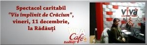 viva cafe radauti